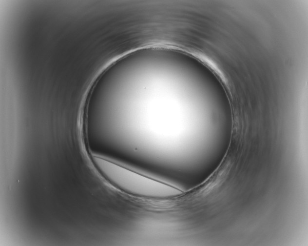 X0000089681007200706210810