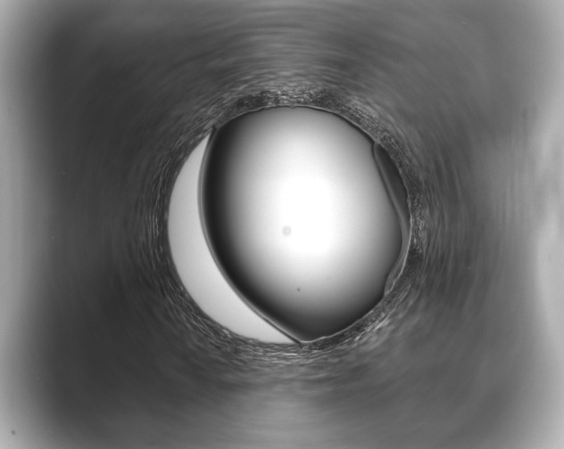 X0000089681010200706210809