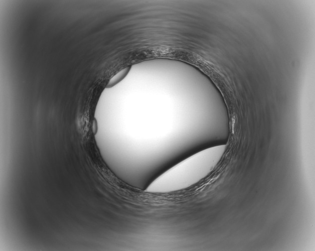 X0000089681011200706210809