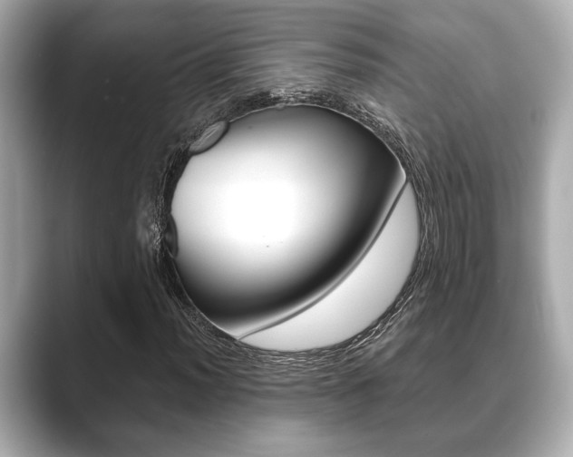 X0000089681012200706210810