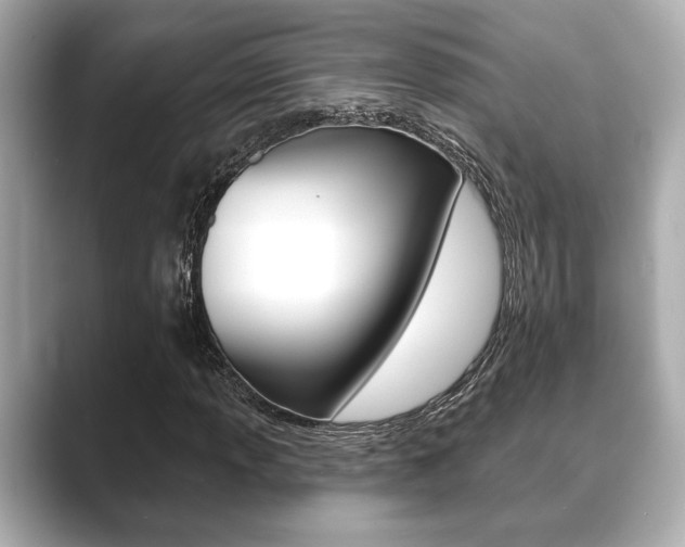 X0000089681013200706210810