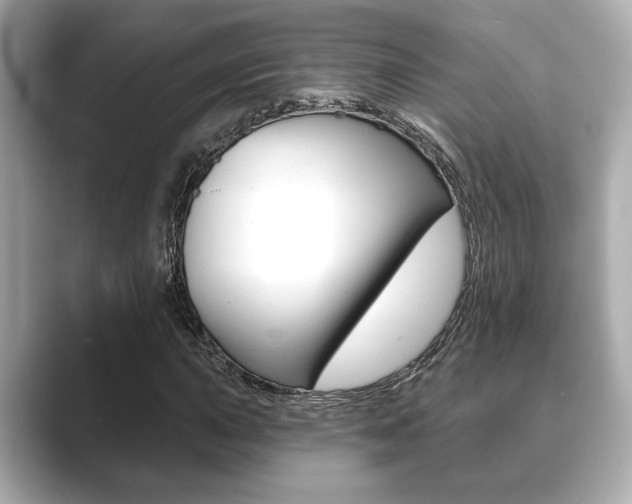 X0000089681015200706210810