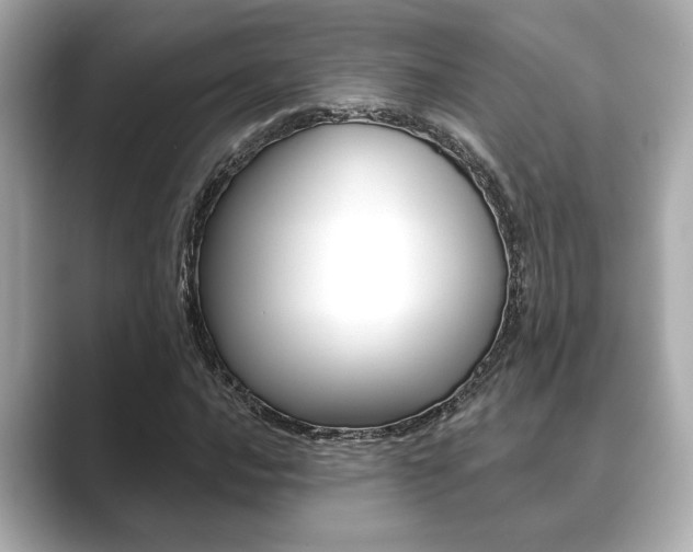 X0000089681016200706210810