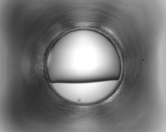 X0000089681017200706210810