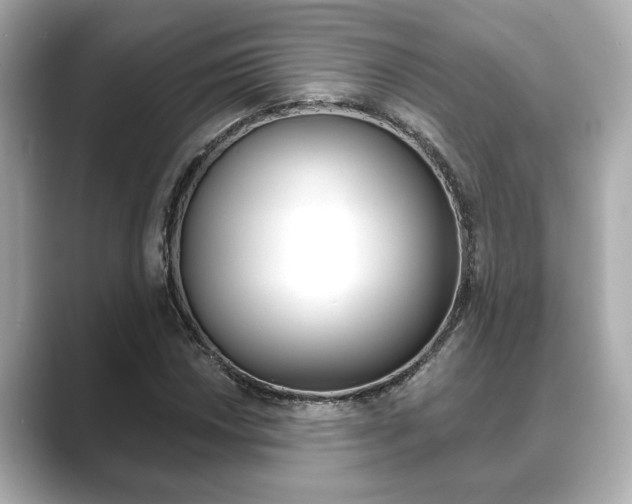 X0000089681018200706210810