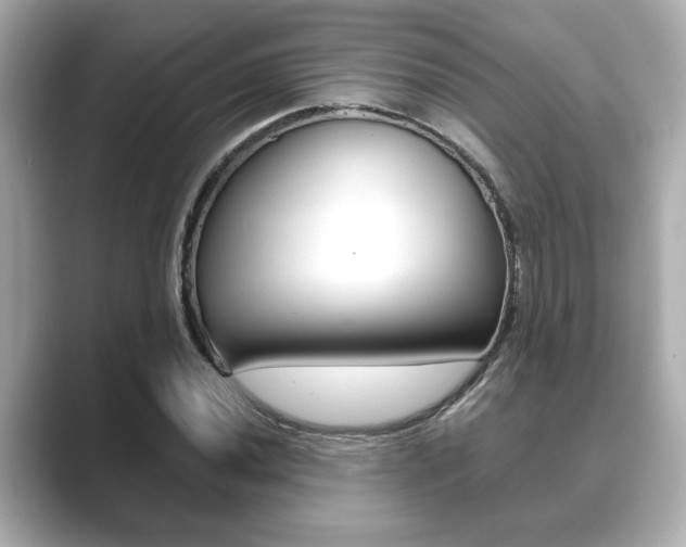 X0000089681020200706210810