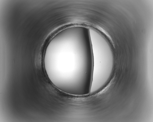 X0000089681021200706210810