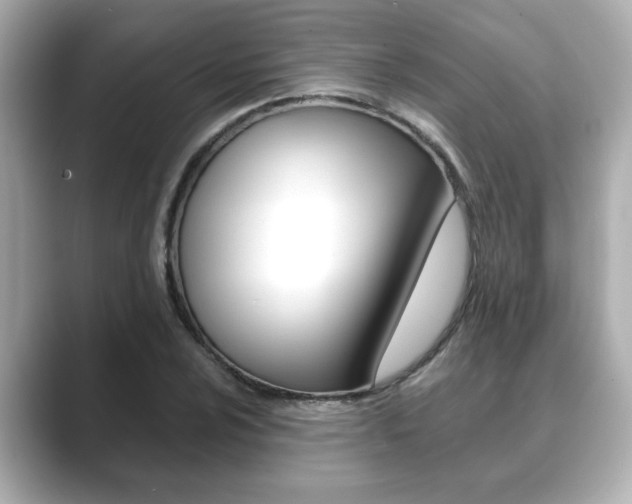 X0000089681024200706210810