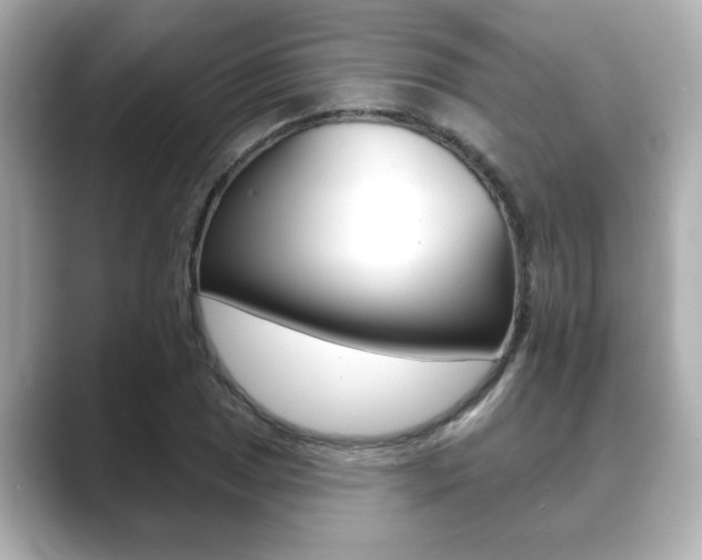 X0000089681025200706210810