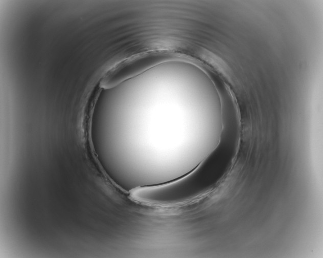 X0000089681026200706210810