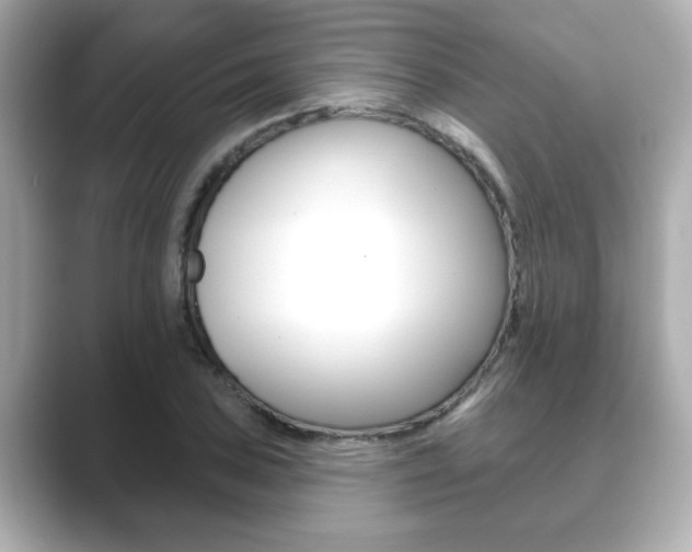 X0000089681027200706210810