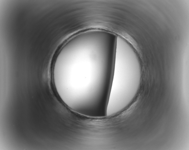 X0000089681028200706210810
