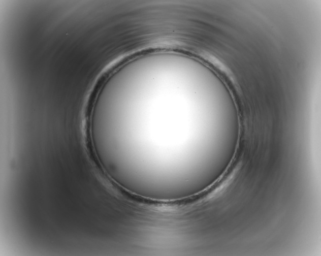 X0000089681029200706210810