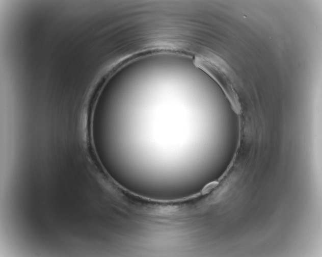 X0000089681030200706210810