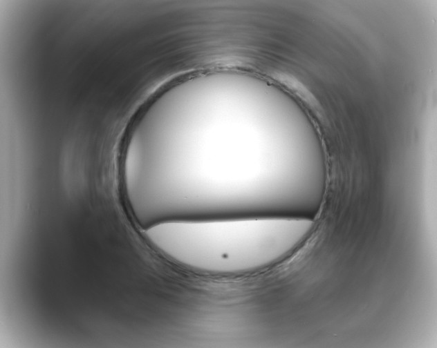 X0000089681031200706210810