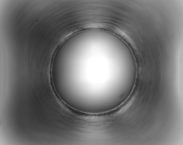 X0000089681033200706210810