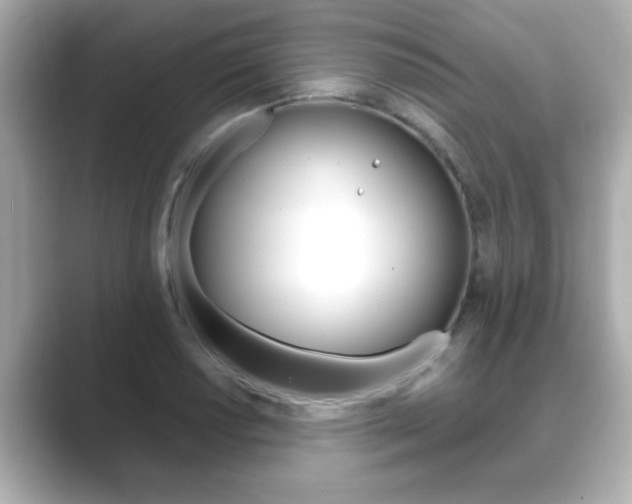 X0000089681034200706210810