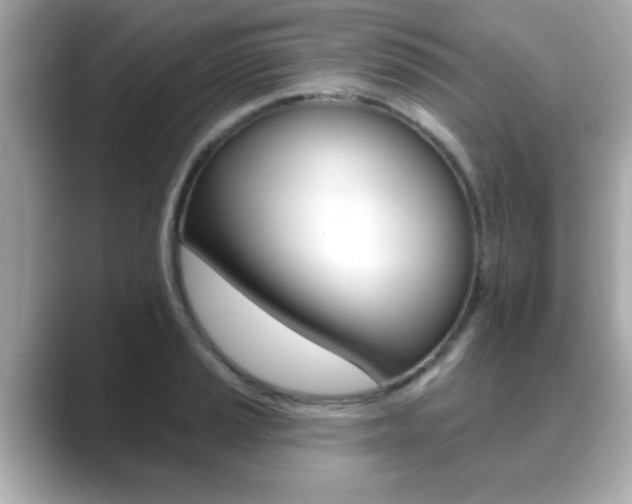 X0000089681037200706210810