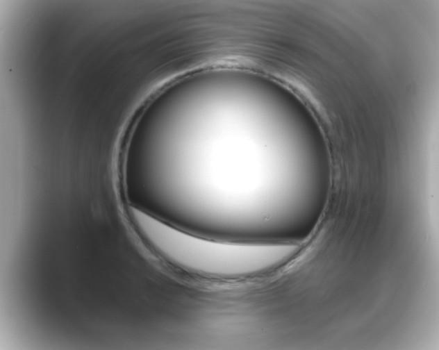 X0000089681038200706210810