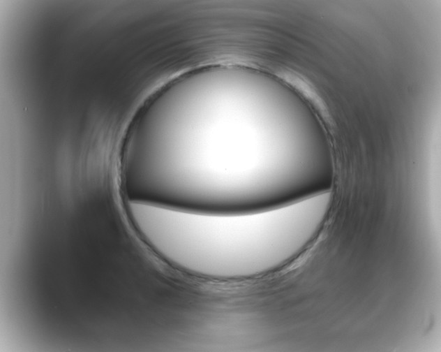 X0000089681040200706210810