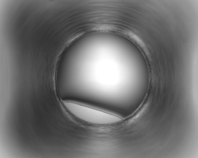 X0000089681041200706210810