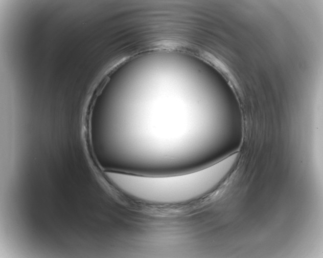X0000089681042200706210810
