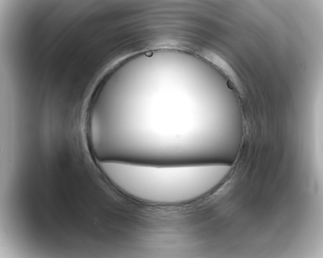 X0000089681043200706210810