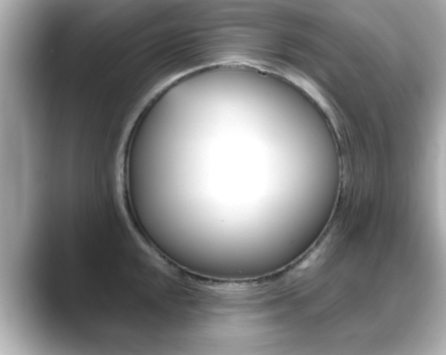 X0000089681048200706210810