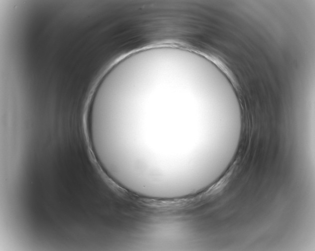 X0000089681054200706210810