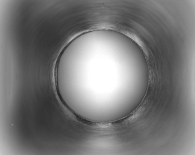 X0000089681055200706210810
