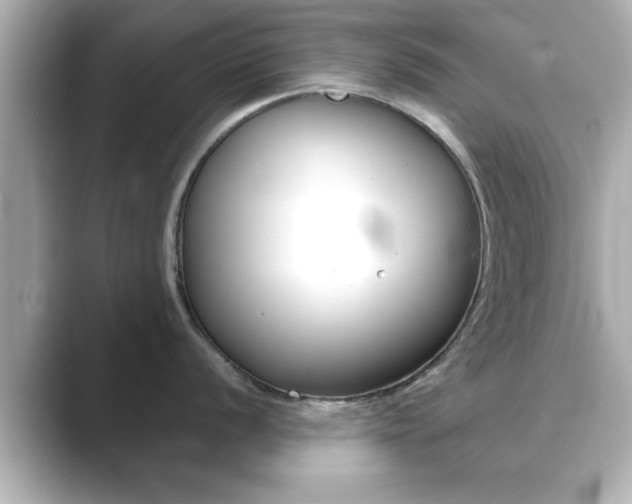 X0000089681056200706210810