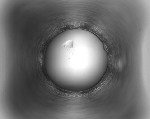 X0000089681058200706210809