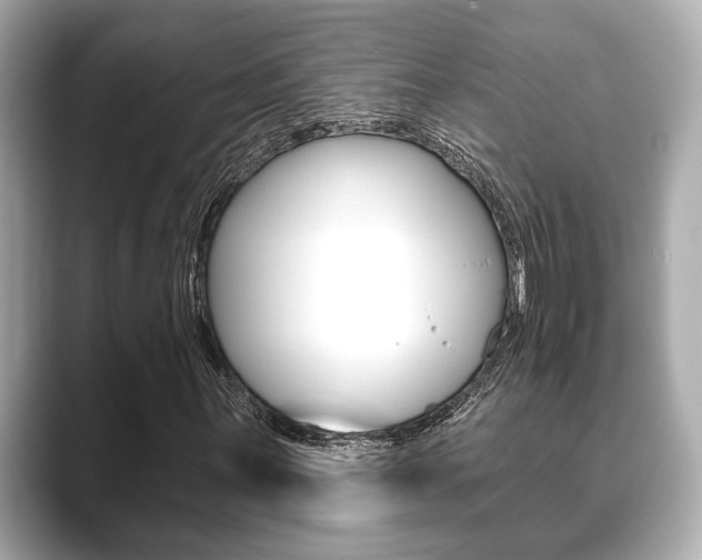X0000089681059200706210809