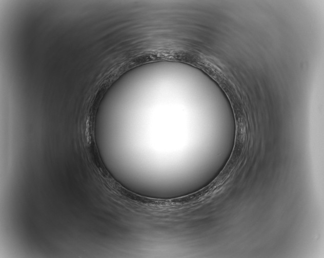 X0000089681060200706210809