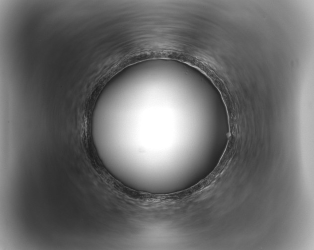 X0000089681061200706210809