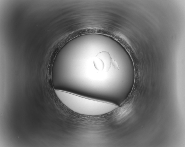 X0000089681064200706210809