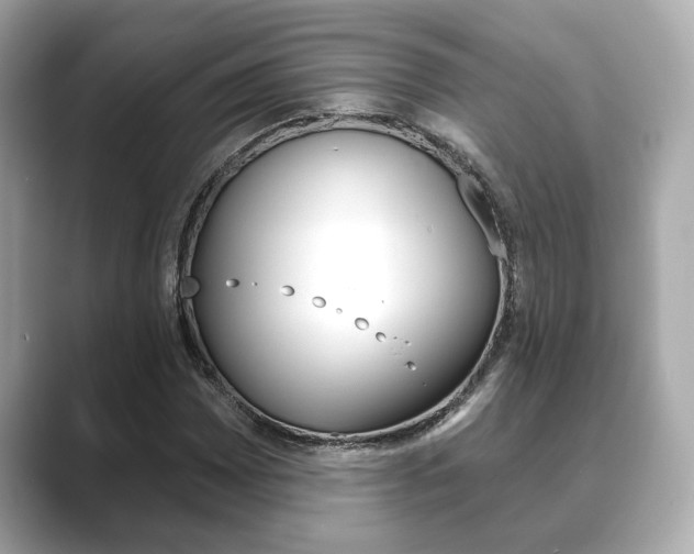 X0000089681065200706210809