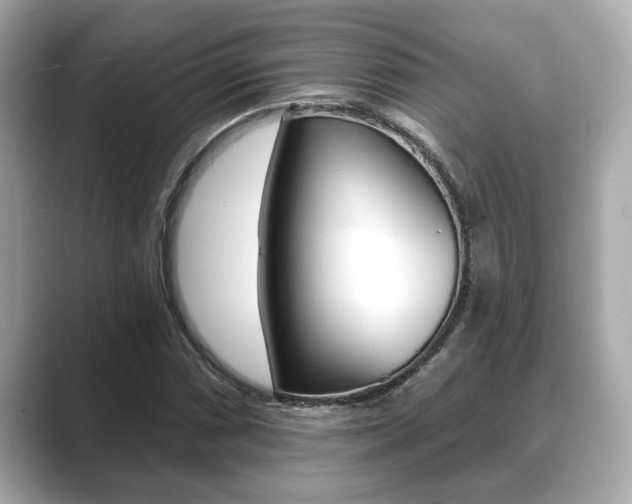 X0000089681066200706210809