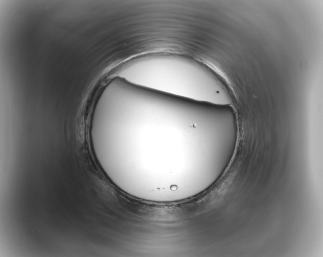 X0000089681067200706210809