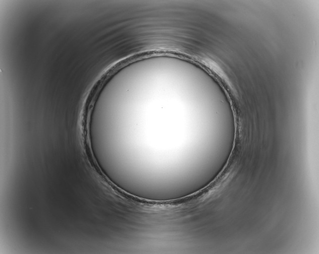 X0000089681068200706210809