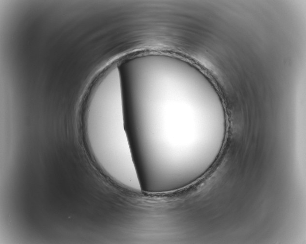 X0000089681070200706210809