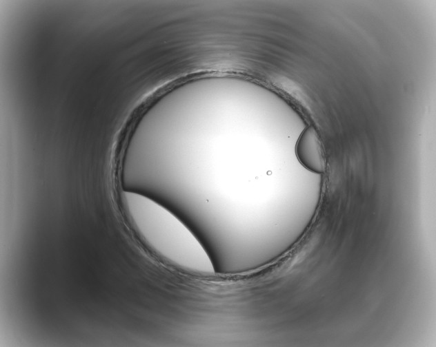 X0000089681071200706210809