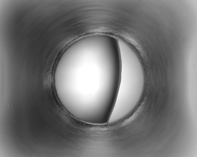 X0000089681073200706210809