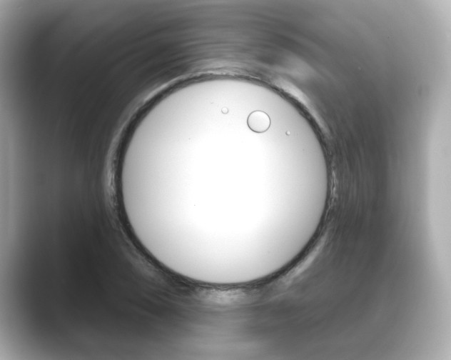 X0000089681074200706210809