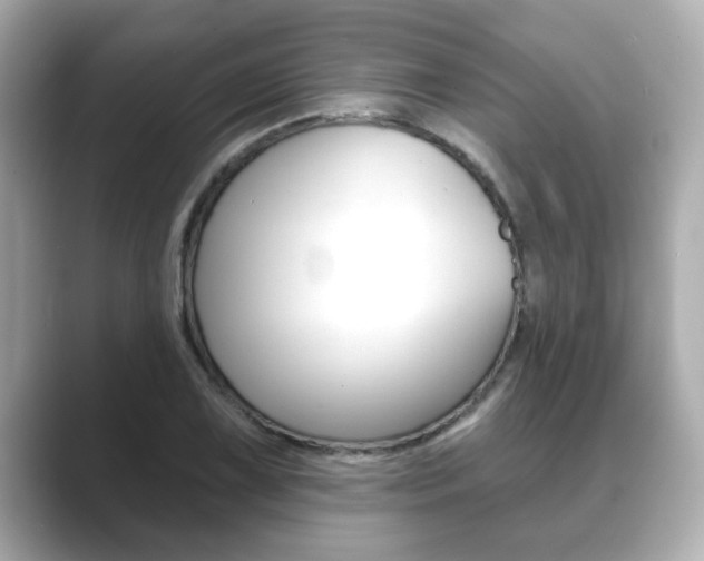 X0000089681075200706210809