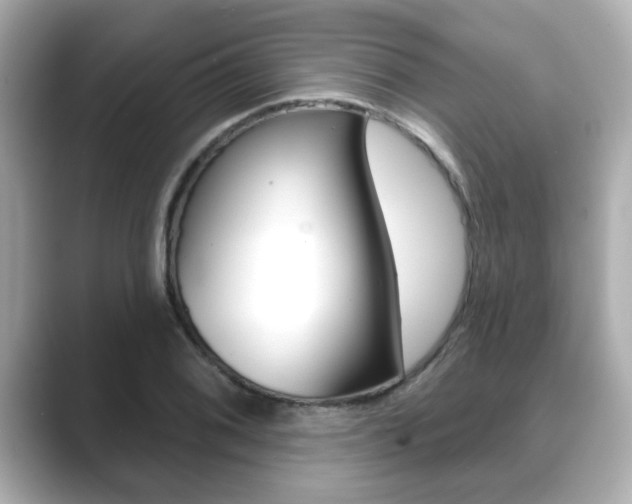X0000089681076200706210809