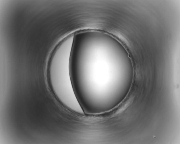 X0000089681077200706210809