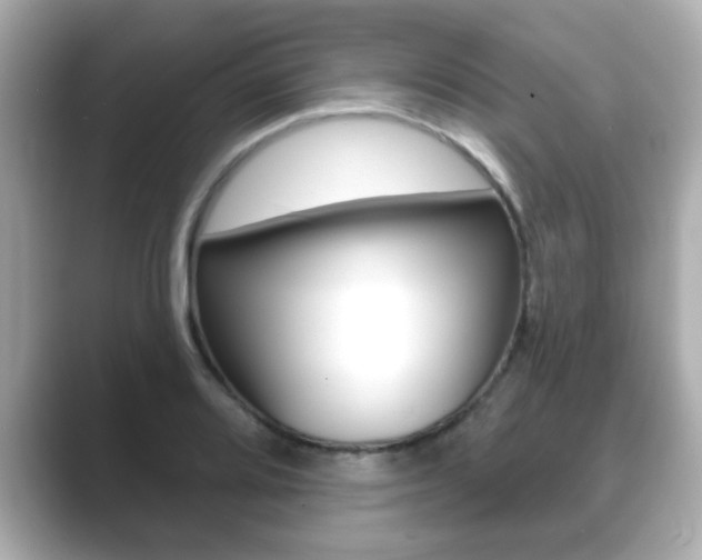 X0000089681080200706210809