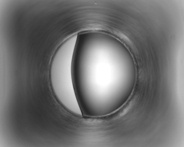 X0000089681081200706210809
