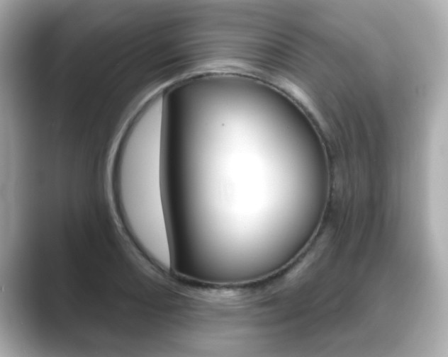 X0000089681082200706210809